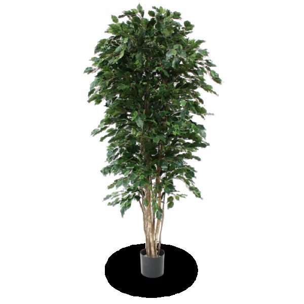 Ficus Exotica Deluxe kunstboom 210 cm groen 6