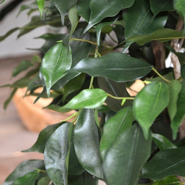 Ficus-Exotica-Deluxe-kunstplant-125-cm-groen-9 Ficus Exotica Deluxe kunstplant 125 cm groen 9