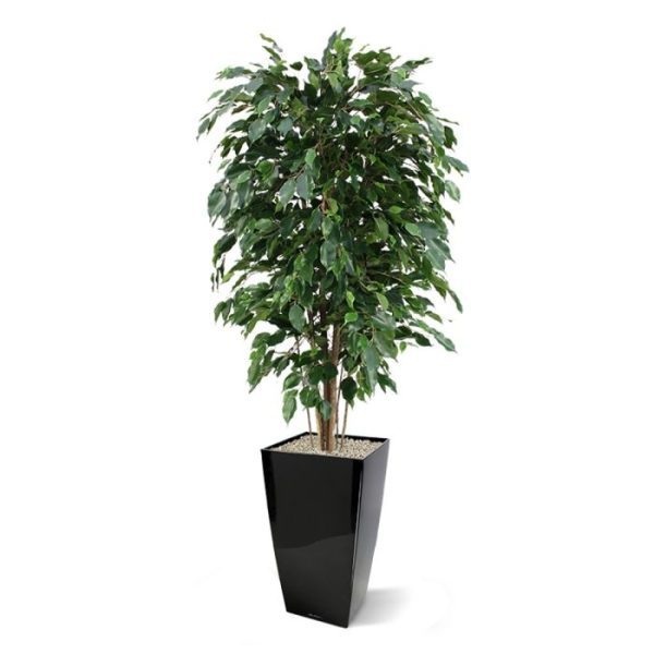 Ficus-Exotica-Deluxe-kunstplant-150-cm-groen-3 Ficus Exotica Deluxe kunstplant 150 cm groen 3