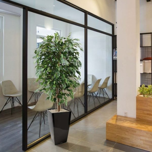 Ficus-Exotica-Deluxe-kunstplant-150-cm-groen-7 Ficus Exotica Deluxe kunstplant 150 cm groen 7