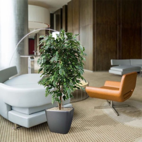 Ficus-Exotica-Deluxe-kunstplant-150-cm-groen-8 Ficus Exotica Deluxe kunstplant 150 cm groen 8