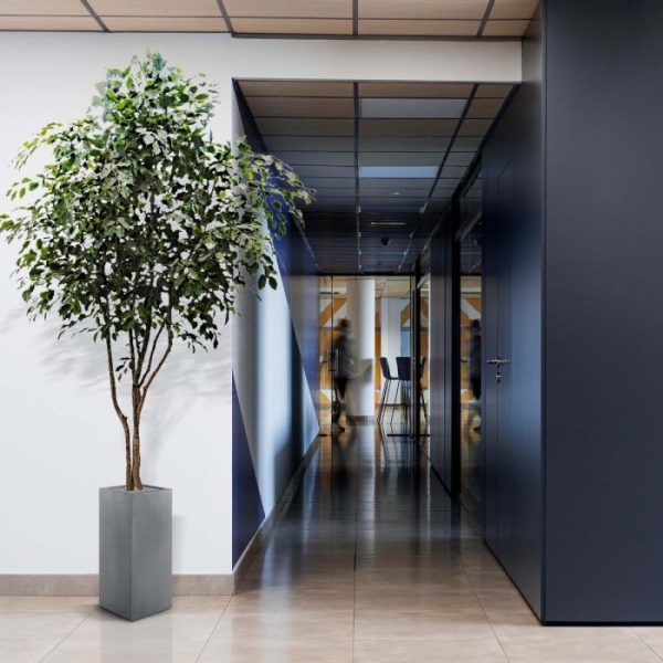 Ficus-Exotica-kunstboom-330-cm-5 op de zaak