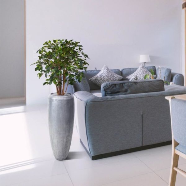 Ficus Folia Deluxe 80 cm groen kunstplant 5