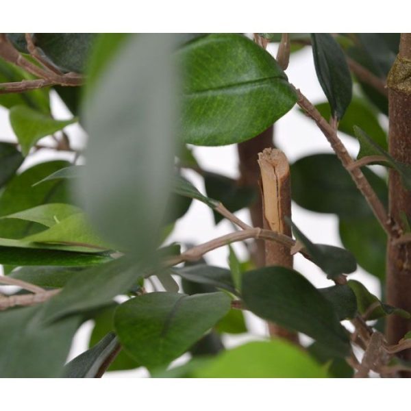 Ficus Folia Deluxe 80 cm groen kunstplant 7