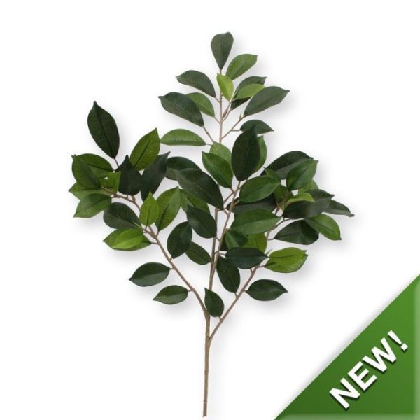 Kunstbloemen zodat ze makkelijk te verwerken zijn in houten stammen of in arrangementen voor een decoratief geheel. De Ficustak kent blaadjes in verschillende groottes waarvan er zelfs een aantal nog in de knop zitten. Het geheel is gemaakt van kwalitatief hoogwaardig pvc in combinatie met zijde en heeft een lengte van ongeveer 55 cm (inclusief steel) en een breedte van ongeveer 35 cm. Meer weten? Vraag ons naar de diverse mogelijkheden en toepassingen!