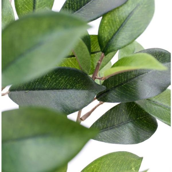 Ficus Folia Tak FR Deze Ficus Folia kunsttak dient als basis product voor vele mogelijkheden en uitvoeringen. Standaard wordt deze kunsttak los geleverd