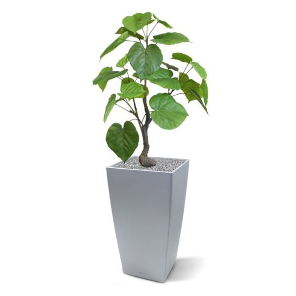 frisgroene hartvormige bladeren. De takken zijn voorzien van een buigzame constructie zodat u deze kunst Ficus naar wens kunt modelleren. Deze kunstficus Umbellata Bonsai wordt standaard geleverd in een plastic binnenpot