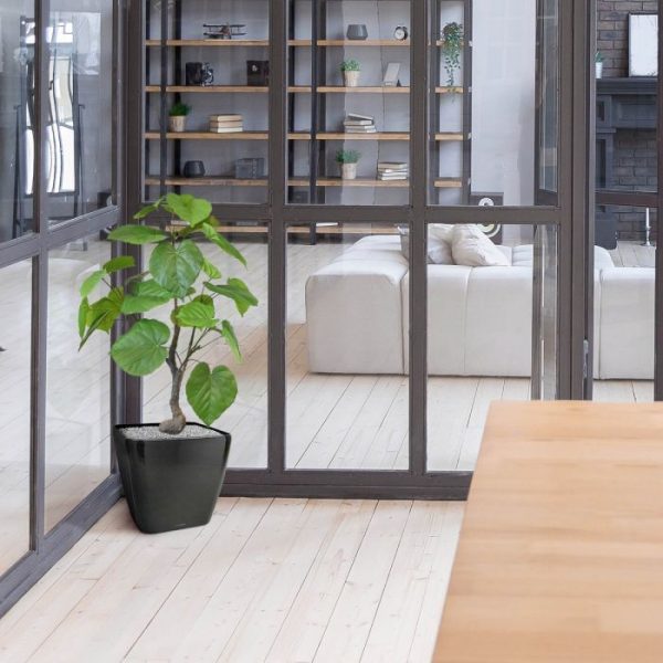 Ficus Umbellata kunstplant 60 cm 4