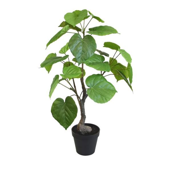 Ficus Umbellata kunstplant 60 cm 6