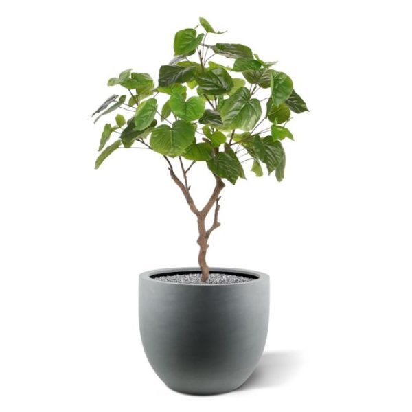 Kunstplanten zo intrigerend en bijzonder. Wat een sieraad op uw tafel