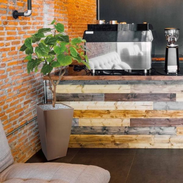 Ficus-Umbellata-kunstplant-90-cm-5 Ficus Umbellata kunstplant 90 cm 5