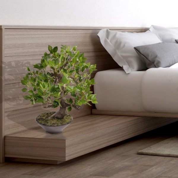 5 cm breed. Het geheel is afgewerkt met een natuurlijk ogende grond- en moslaag.