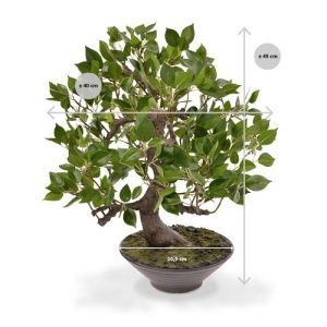 is ongeveer 40 cm breed en wordt standaard in de getoonde schaal geleverd. De schaal is circa 20