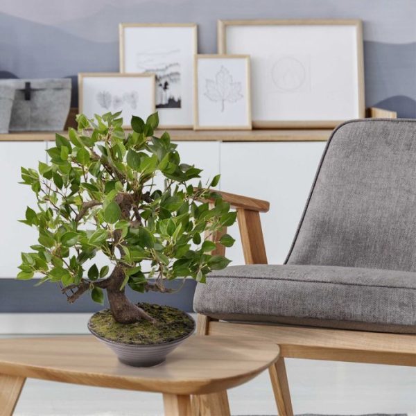 water geven en bemesten is met deze kunstbonsai niet nodig