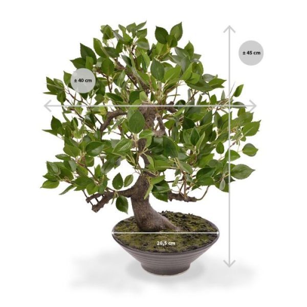 is ongeveer 40 cm breed en wordt standaard in de getoonde schaal geleverd. De schaal is circa 20