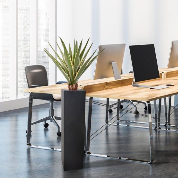 Furcraea Agave kunstplant 80 cm bont 10