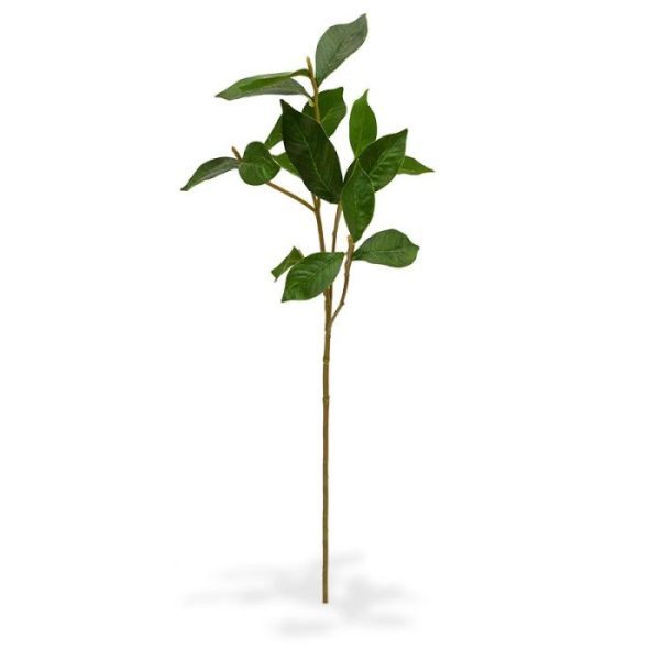 Deze Gardenia Bladtak 60 cm kunt u gebruiken als basis in kunstboeketten. Het kunstzijden Gardenia blad heeft een natuurgetrouwe kleur en een perfect nagemaakte bladnerf.   De kunsttak is zeer goed nagemaakt met meerdere zijtakken