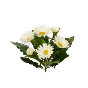 Zie hier het oranje Gerbera Kunstboeket 30 cm. Kenmerkend is de dubbele rij bloemblaadjes welke zo typerend zijn voor de Gerbera. Veel aandacht is ook besteed aan het hart van de kunstbloem. Deze is heel gedetailleerd nagemaakt. Het kunstboeket heeft 4 grote bloemen en 2 kleine. De grote kunstzijden bladeren geven het geheel een volle aanblik. De breedte van het Gerbera boeket is ongeveer 30 cm. De hoogte inclusief steel is ongeveer 27 cm. Deze versie wordt geleverd als boeket zonder pot. Vanaf 12 stuks profiteert u van de voordeel prijs.
