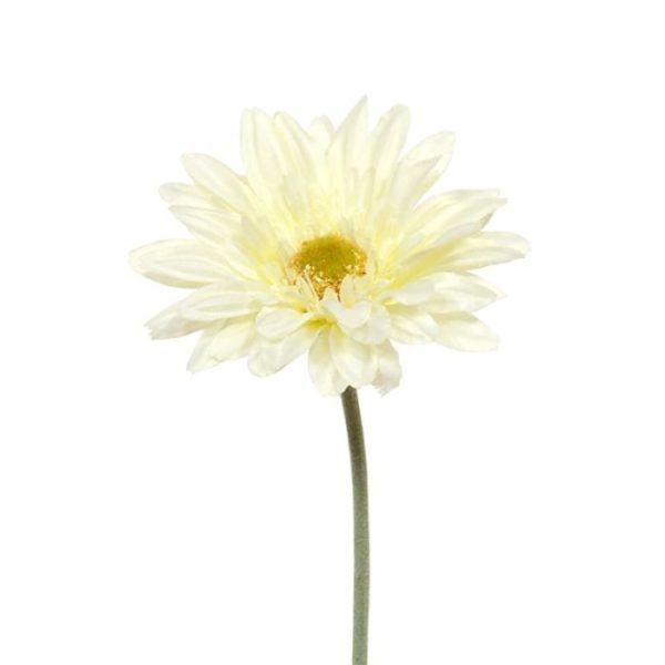 toch? De kunststeelbloem van 60 cm is prachtig nagemaakt met een natuurgetrouwe kunststof steel van waaruit een prachtige crèmekleurige bloem ontspringt