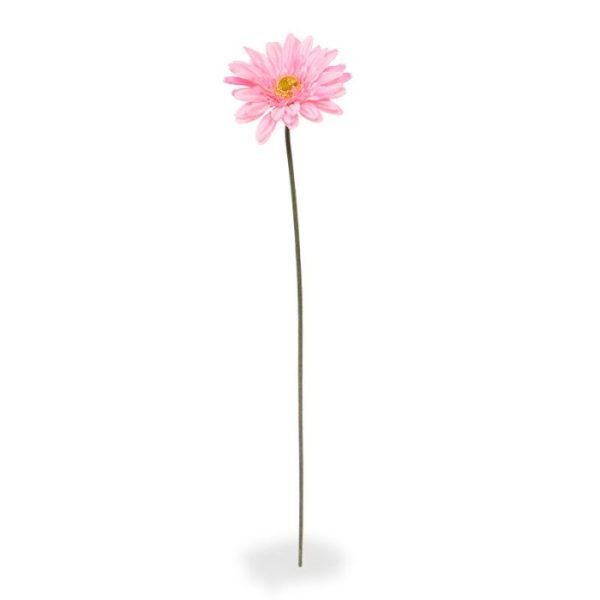 Gerbera kunst steelbloem 60 cm roze Heeft u deze levensechte Gerbera kunst steelbloem in roze al ontdekt? Deze veelzijdige kunstbloem op steel heeft een zonnig humeur en een karakteristiek uiterlijk. Heeft u die dubbele rij bloemblaadjes rondom het charmante gele hart gezien en die zachte