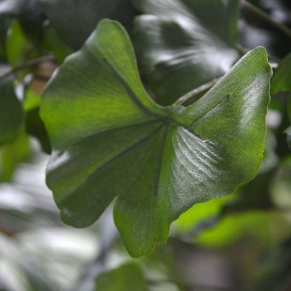 Ginkgo-Bonsai-kunstboom-150-cm-5 Ginkgo Bonsai kunstboom 150 cm 5