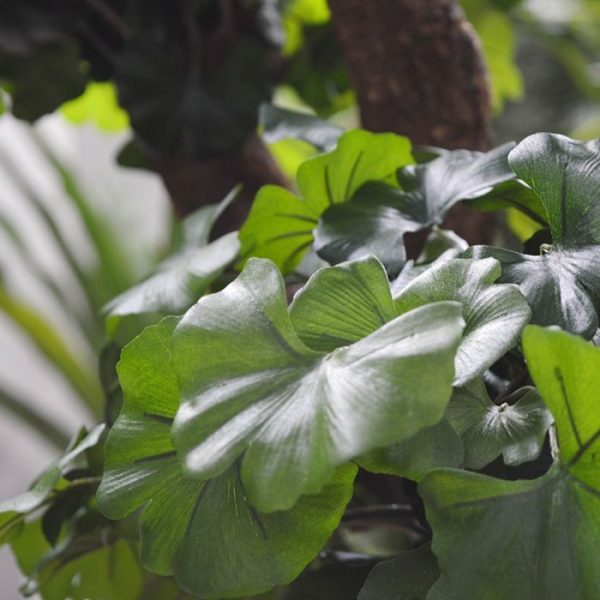 Ginkgo-Bonsai-kunstboom-150-cm-9 Ginkgo Bonsai kunstboom 150 cm 9