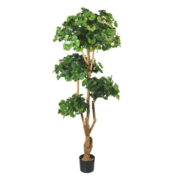 Ginko Bonsai deluxe kunstboom 170 cm Ginko Bonsai deluxe kunstboom 170 cm