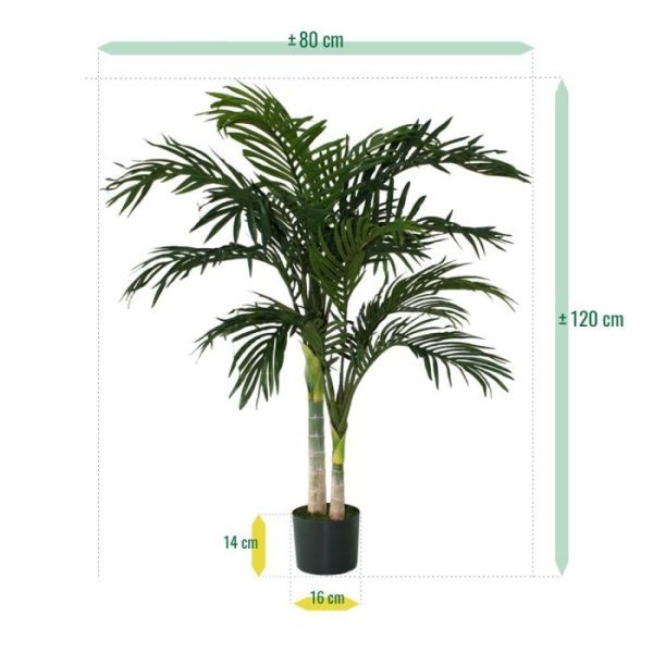 Golden-Cane-Areca-Palm-120-cm-3 afgedekt met verlijmde grond. Standaard wordt de Areca geleverd in een plastic binnenpot