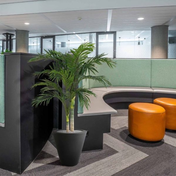 Golden-Cane-Areca-Palm-120-cm-4 de afgebeelde sierpotten zijn direct extra mee te bestellen.