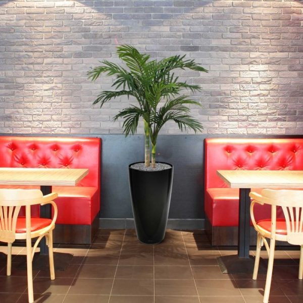 Golden-Cane-Areca-Palm-120-cm-5 Golden Cane Areca Palm 120 cm 5