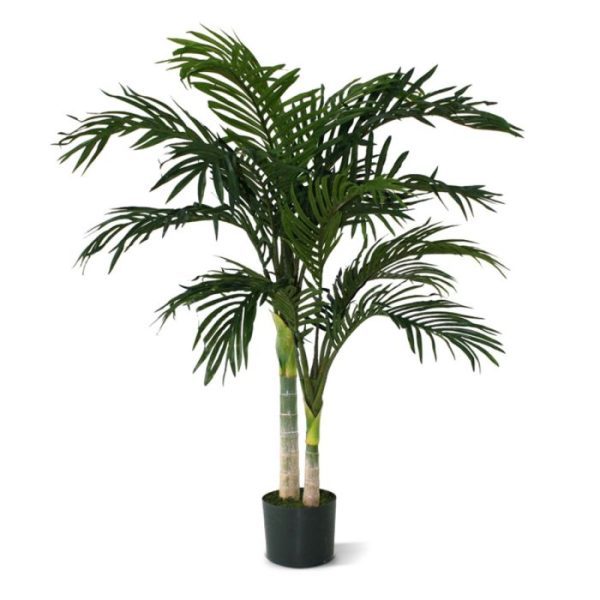 Golden-Cane-Areca-Palm-120-cm-7 Golden Cane Areca Palm 120 cm 7