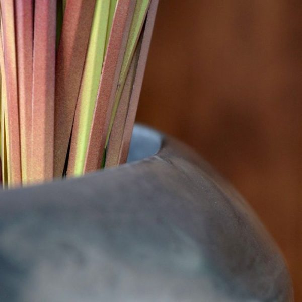 inclusief steel. Standaard wordt de plant geleverd als los boeket