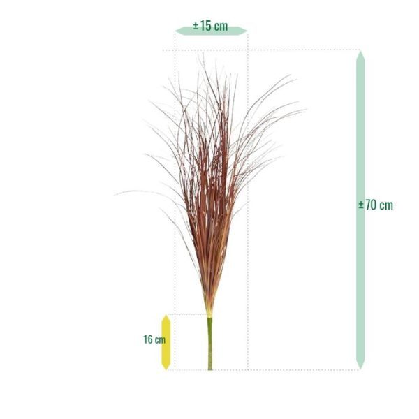 zodat deze eenvoudig in een sierpot of bakken te plaatsen is. Leverbaar in de maten 40