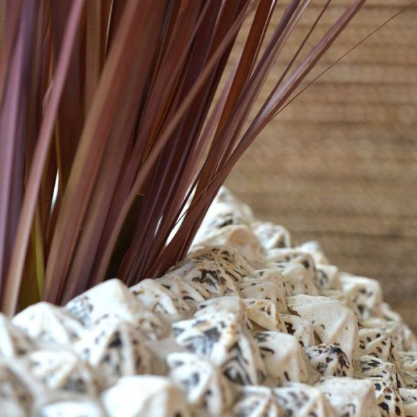 Grasboeket-80-cm-rood-3 en plant ze met een onderlinge afstand van ongeveer 10 cm. Het Grasboeket is rood/bruin van kleur en heeft een totale lengte van ongeveer 90 cm