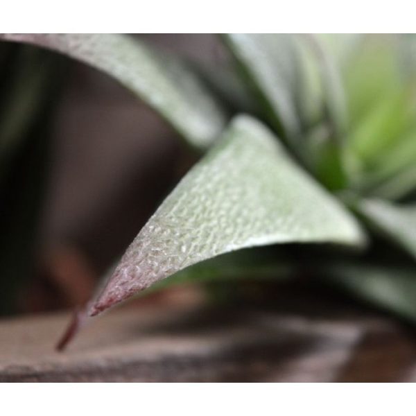 Groene kunstplanten is met zijn dikke