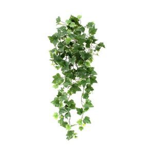 Deze schitterende bonte Hedera Deluxe kunst hangplant ziet er bijzonder natuurgetrouw uit en is van de hoogste kwaliteit kunstplanten. Door zijn diversiteit aan bladeren in verschillende afmetingen en bonte kleurtonen ziet de kunsthedera er wel heel natuurlijk uit en is hij bijzonder decoratief aan een balustrade of muur.  De lengte van de Hedera is ongeveer 80cm