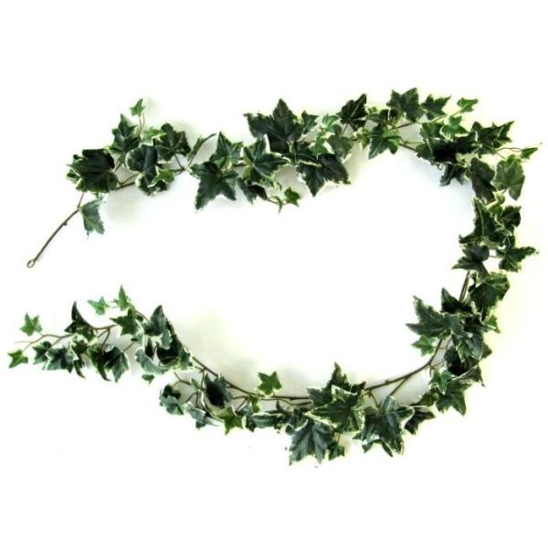 Hedera-guirlande-180cm-bont-4 Hedera guirlande 180cm bont 4