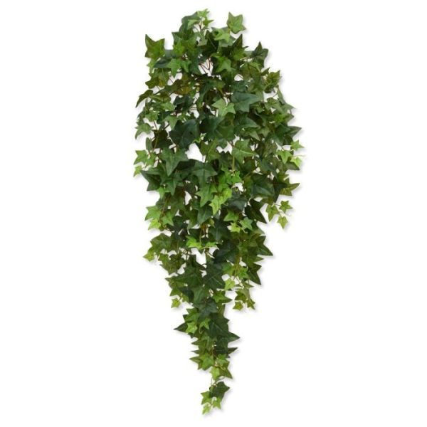 Hedera hangplant 100 cm groen 6