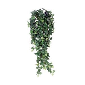 Deze hedera hangplant ziet er wel heel natuurlijk uit. Door zijn diversiteit aan blaadjes in verschillende groottes en afmetingen zal menigeen moeite hebben om te zien dat het hier om een kunstplant gaat! Wordt veel gebruikt om over verwarmingselementen of kasten te hangen.De lengte van de hedera is 80cm en de bladkleur is groen.Profiteer van de voordeelprijs vanaf 6 stuks!