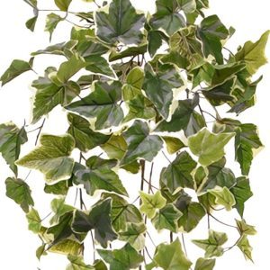 Deze bonte hedera kunst hangplant 65 cm is groen-bont van kleur. De iets opstaande blaadjes zijn rijk gedetailleerd en hebben een groen hart. Een flink aantal bladeren heeft een gele rand