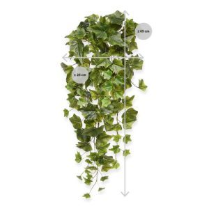 Deze groene hedera kunst hangplant 65 cm ziet er dankzij de bladeren in verschillende groene kleurtinten en afmetingen heel natuurlijk uit. De iets opstaande blaadjes zijn rijk gedetailleerd. Deze groene hedera oogt wat rustiger dan bonte hedera. De hedera is uit één mal gegoten