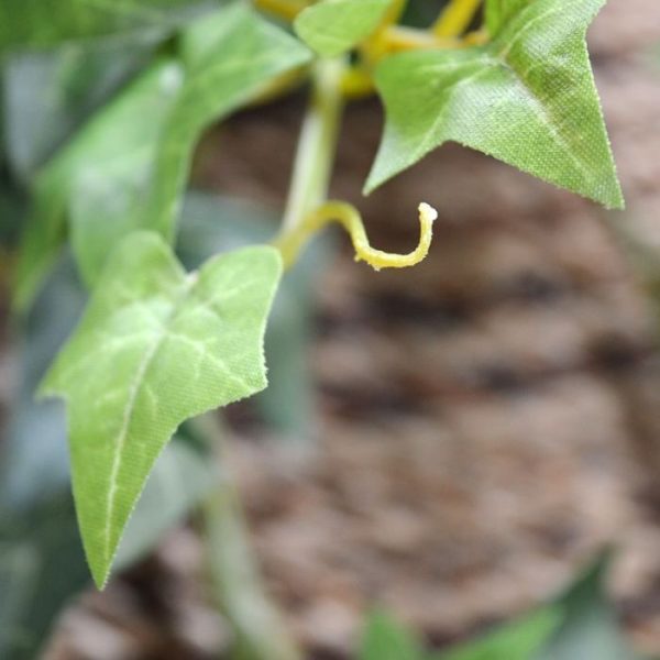 Hedera-kunsthangplant-75-cm-groen-3 Hedera kunsthangplant 75 cm groen 3