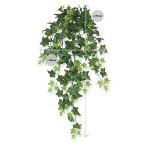 Deze kunstzijden Hedera hangplant is een perfecte manier om donkere ruimtes mee te decoreren. Door zijn diversiteit aan blaadjes in verschillende groottes en kleuren zal menigeen moeite hebben om te zien dat het hier om een kunstplant gaat! De Hedera kunstplant (ook leverbaar in een bonte versie) wordt veel gebruikt om over verwarmingselementen of kasten te hangen