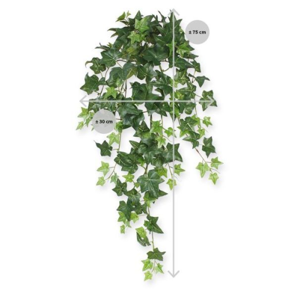 Hedera kunsthangplant 75 cm groen Deze kunstzijden Hedera hangplant is een perfecte manier om donkere ruimtes mee te decoreren. Door zijn diversiteit aan blaadjes in verschillende groottes en kleuren zal menigeen moeite hebben om te zien dat het hier om een kunstplant gaat! De Hedera kunstplant (ook leverbaar in een bonte versie) wordt veel gebruikt om over verwarmingselementen of kasten te hangen
