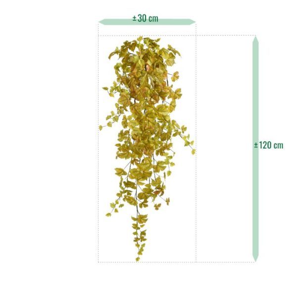 Herfst kunsthangplant Maple 120cm geel Houdt u ook zo van die prachtige Esdoorns? Dan hebben we nu iets heel moois voor u. Kijk deze prachtige Herfst Maple kunsthanger van 130 cm maar eens. Geniet van die mooie herfstachtige kleuren in gele en bruine tinten. De natuur gaat weer in winterslaap en u kunt daar het kunstige bewijs van in huis