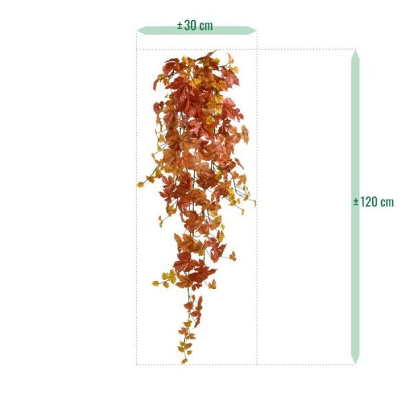 Herfst kunsthangplant Maple 120cm oranje Houdt u ook zo van die prachtige Esdoorns? Dan hebben we een prachtig aanbod voor u. Kijk deze prachtige oranje gekleurde Herfst Maple kunsthanger van 90 cm maar eens. Geniet van die mooie vergankelijke kleuren in oranje