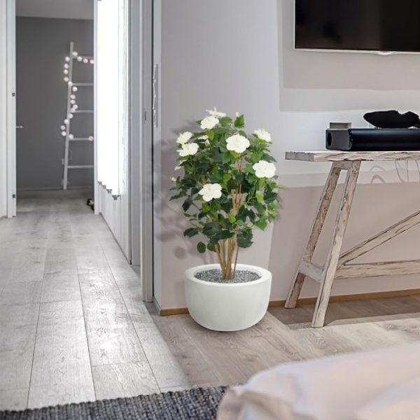 Hibiscus-Deluxe-100-cm-creme-10 Hibiscus Deluxe 100 cm creme 10