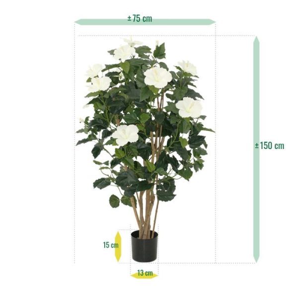 Hibiscus-Deluxe-100-cm-creme-3 Hibiscus Deluxe 100 cm creme 3