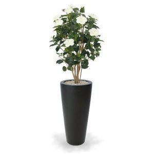 De bloeiende trend van dit moment: de Hibiscus Deluxe 100 cm. Deze bloeiende kunstplant doet het goed in een entree