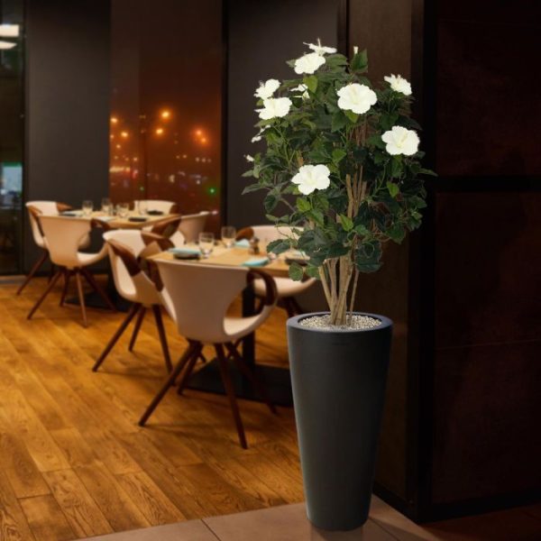 Hibiscus-Deluxe-100-cm-creme-5 Hibiscus Deluxe 100 cm creme 5